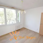 Rent 3 bedroom apartment of 65 m² in Capital City of Prague