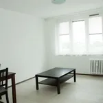 Rent 1 bedroom apartment of 45 m² in Prague