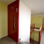 Rent 2 bedroom apartment of 40 m² in Brno