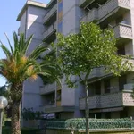 Rent 2 bedroom apartment of 38 m² in Follonica