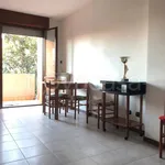 Rent 2 bedroom apartment of 55 m² in Cerea