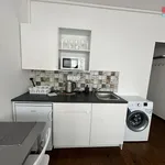 Rent 1 bedroom apartment of 25 m² in Praha