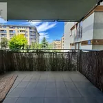 Rent 3 bedroom apartment of 78 m² in Krakow