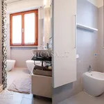 Rent 3 bedroom apartment of 75 m² in Pisa