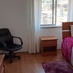 Rent 2 bedroom apartment of 76 m² in Coimbra