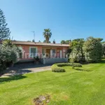 Rent 5 bedroom house of 699 m² in Rome