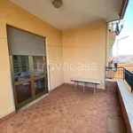 Rent 2 bedroom apartment of 60 m² in Ladispoli