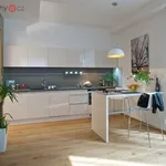 Rent 1 bedroom apartment of 60 m² in Praha 2