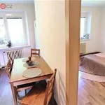 Rent 4 bedroom apartment of 80 m² in Vyškov