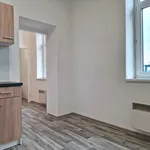 Rent 1 bedroom apartment in Ostrava