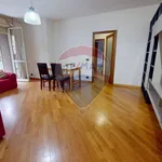 Rent 3 bedroom apartment of 100 m² in Perugia