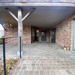 Rent 1 bedroom apartment in Waregem