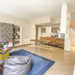 Rent 1 bedroom apartment in bologna