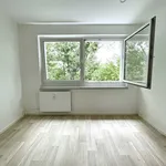 Rent 4 bedroom apartment of 70 m² in Kappel