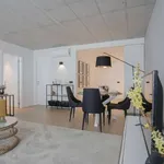 Rent 1 bedroom apartment of 60 m² in porto