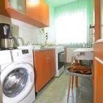 Rent 2 bedroom apartment of 42 m² in Timișoara