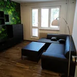 Rent 2 bedroom apartment in Brno