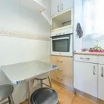 Rent 4 bedroom apartment in Valencia