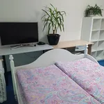 Rent a room of 80 m² in Prague