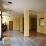 Rent 3 bedroom apartment of 84 m² in Turin