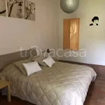 Rent 2 bedroom apartment of 65 m² in Urbino