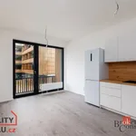 Rent 1 bedroom apartment of 29 m² in Pilsen