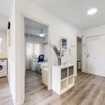 Alquilar 5 dormitorio apartamento en Valencia