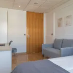 Rent a room in madrid