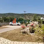 Ενοικίαση 5 υπνοδωμάτιο σπίτι από 405 m² σε Paiania Municipal Unit