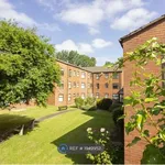 Rent 1 bedroom apartment in North East England