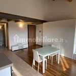 Rent 1 bedroom apartment of 35 m² in Lendinara