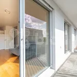 Rent 2 bedroom apartment of 53 m² in Brno