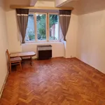 Rent 1 bedroom apartment in Prague