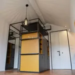 Rent 1 bedroom apartment of 35 m² in Turin