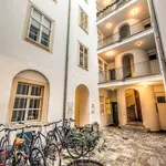 Rent 2 bedroom house of 61 m² in Vienna