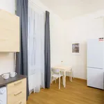 Rent 1 bedroom apartment in Prague