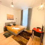 Rent 1 bedroom apartment in Praha 2