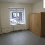 Rent 2 bedroom apartment of 41 m² in Brno