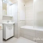 Rent 3 bedroom apartment in Praha 4