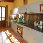 Rent 15 bedroom apartment of 350 m² in Orbetello (Gr)