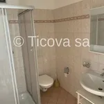 Rent 3 bedroom apartment of 60 m² in Lugano