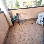 Rent 2 bedroom apartment of 50 m² in Busto Arsizio