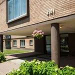 Rent 1 bedroom apartment in Montreal