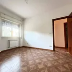 Rent 5 bedroom apartment of 1 m² in Palermo