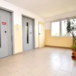 Rent 1 bedroom apartment of 36 m² in Lublin