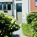 Maison de 230 m² avec 4 chambre(s) en location à Ukkel