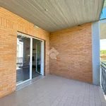 Rent 2 bedroom apartment of 50 m² in Cervia