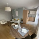 Rent 2 bedroom apartment of 50 m² in Issy-les-Moulineaux