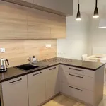 Rent 2 bedroom apartment of 43 m² in Nowy Sącz