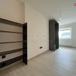 Rent 3 bedroom apartment of 100 m² in Vyškov